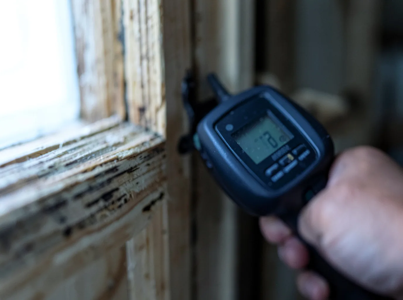 Moisture Inspection And Documentation in Springerton, IL